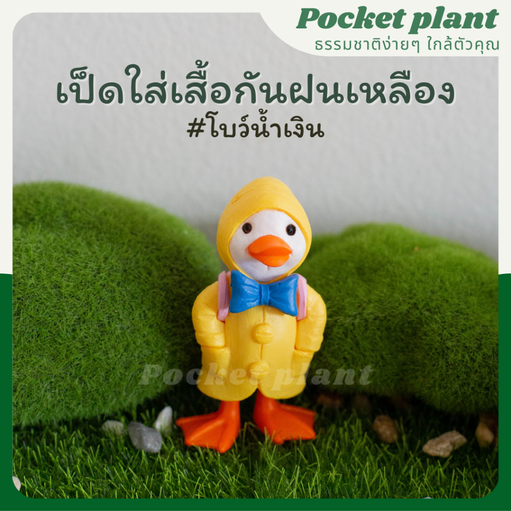 มุมมอง 6