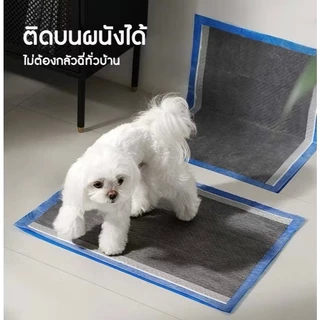 แผ่นรองฉี่สุนัข รุ่นชาโคล Meow Space Size M 1 แพ็ค แผ่นรองซับ Training pads มีกาว 4 มุม ซึมเร็วดูดซึมได้ดี หนา 6 ชั้น