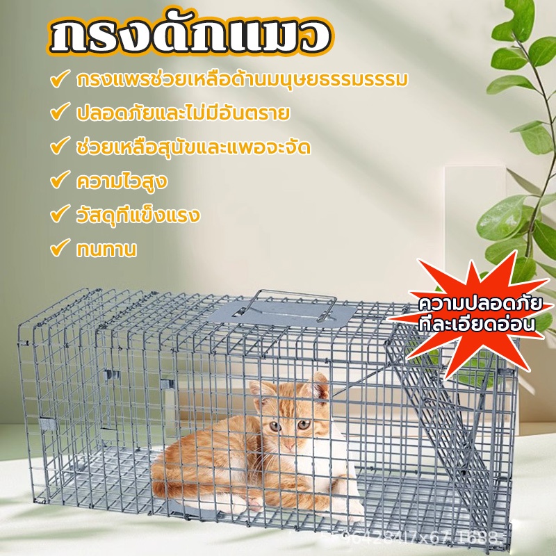 กรงดักแมวจร M-2XL CatTrap กรงดักแมว พับได้ ความไวสูง จับแมว แข็งแรง ทนทาน ทนแรงกระชาก จับแมว ดักจับแมวไม่ทําร้ายแมว