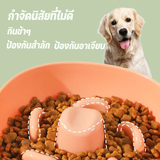 มีบางส่วน ชามอาหารสัตว์เลี้ยงช ามชะลอกิน ป้องกันการสำลัก ปกป้องคอ ความจุขนาดใหญ่ ทําความสะอาดง่าย