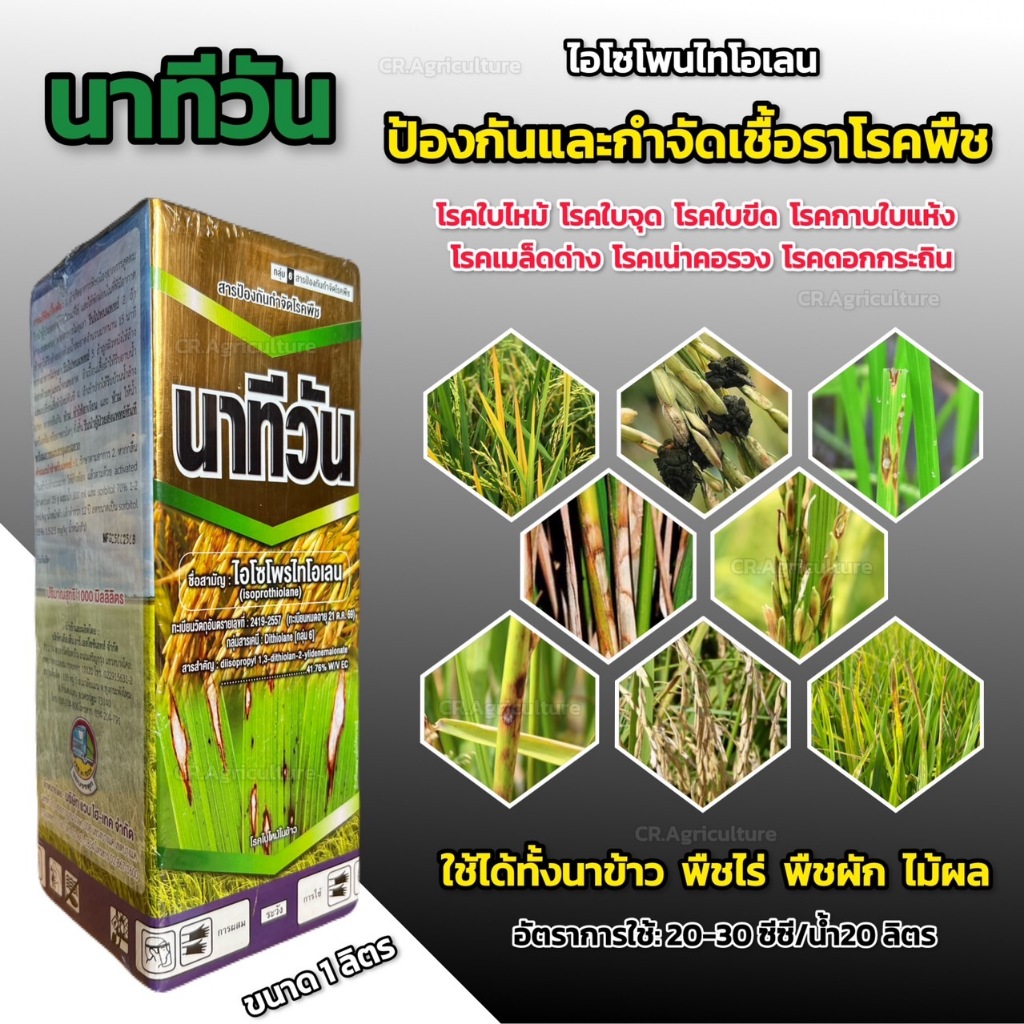 นาทีวัน ไอโซโพรไทโอเลน กำจัดโรคในนาข้าว ใบไหม้ ขอบใบแห้ง กาบใบแห้ง ใบจุดสีน้ำตาล ยากำจัดเชื้อรา ชนิดดูดซึม