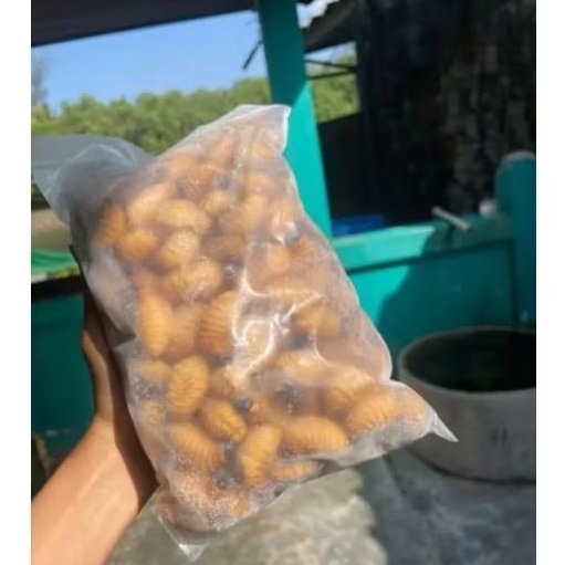 ✨ส่งด่วน✨ด้วงสาคูแช่แข็ง ไม่ใส่เกลือ ขนาด 200-1000 กรัม