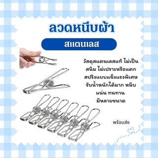 ลวดหนีบผ้า ที่หนีบผ้า สแตนเลส คลิปหนีบ เอนกประสงค์ มีหลายขนาด สินค้าในไทย
