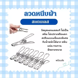 ลวดหนีบผ้า ที่หนีบผ้า สแตนเลส คลิปหนีบ เอนกประสงค์ มีหลายขนาด สินค้าในไทย