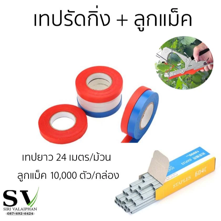 เทปรัดกิ่ง + ลูกแม็ค เบอร์ 604C 1 กล่อง (10,000 ตัว) สำหรับเครื่องรัดกิ่งไม้ ผูกกิ่ง ยอดไม้ ทุกรุ่น