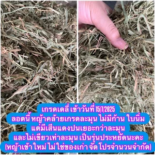 หญ้าทิมโมธีแบบปึก เส้นนิ่มใหญ่ ใบเยอะ ดอกเยอะ สำหรับกระต่าย