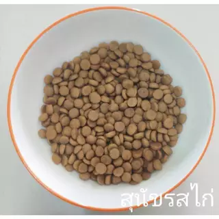 Mypal อาหารสุนัขมายพาวว์ ขนาด 20KG. โปรตีน 22.5%