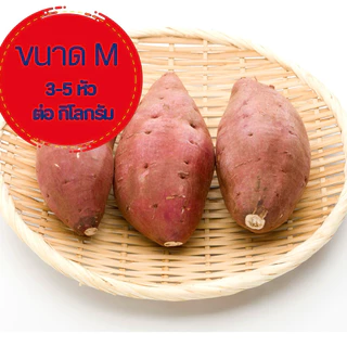 (ส่งด่วน กทม🚀)มันหวานญี่ปุ่นเบนิฮารุกะ (แบบดิบ )ขนาด M-( Premium)ผิวสวย