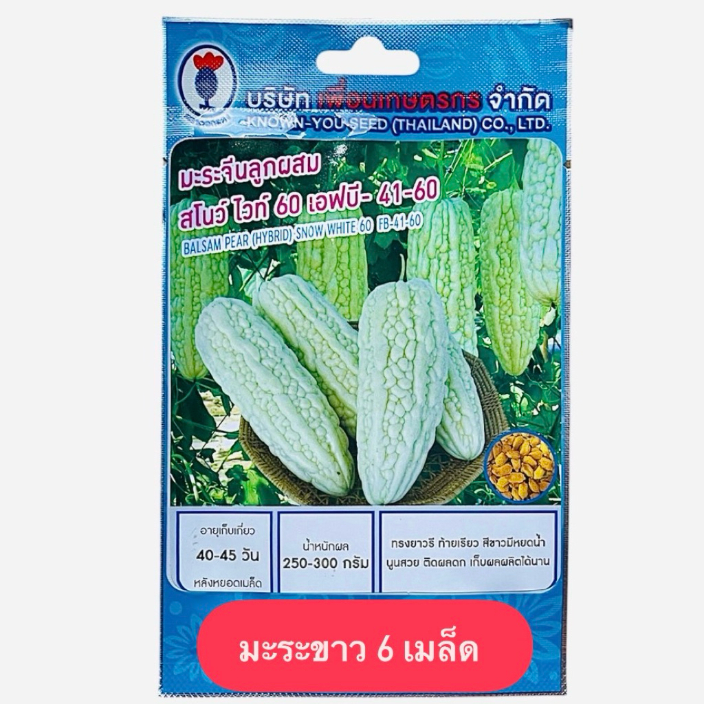 มะระจีน มะระขาว สโนไวท์ (6 เมล็ด)