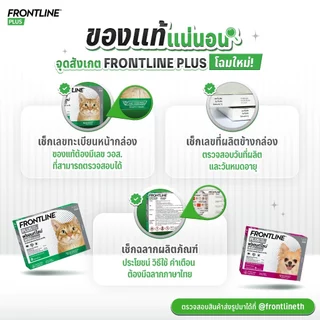 FRONTLINE PLUS DOG Size M (10-20 kg) ฟรอนท์ไลน์ พลัส ยาหยดกำจัดเห็บหมัด สำหรับสุนัข น้ำหนัก 10-20 กก