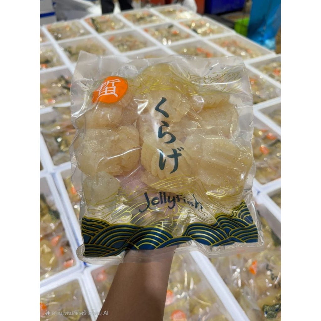 แมงกะพรุนหัวกระสุน ***พร้อมส่ง**** นำเข้าจากญี่ปุ่น แพ็คละ 1กิโลกรัม มี 8-16ตัว สินค้ายอดฮิตตอนนี้