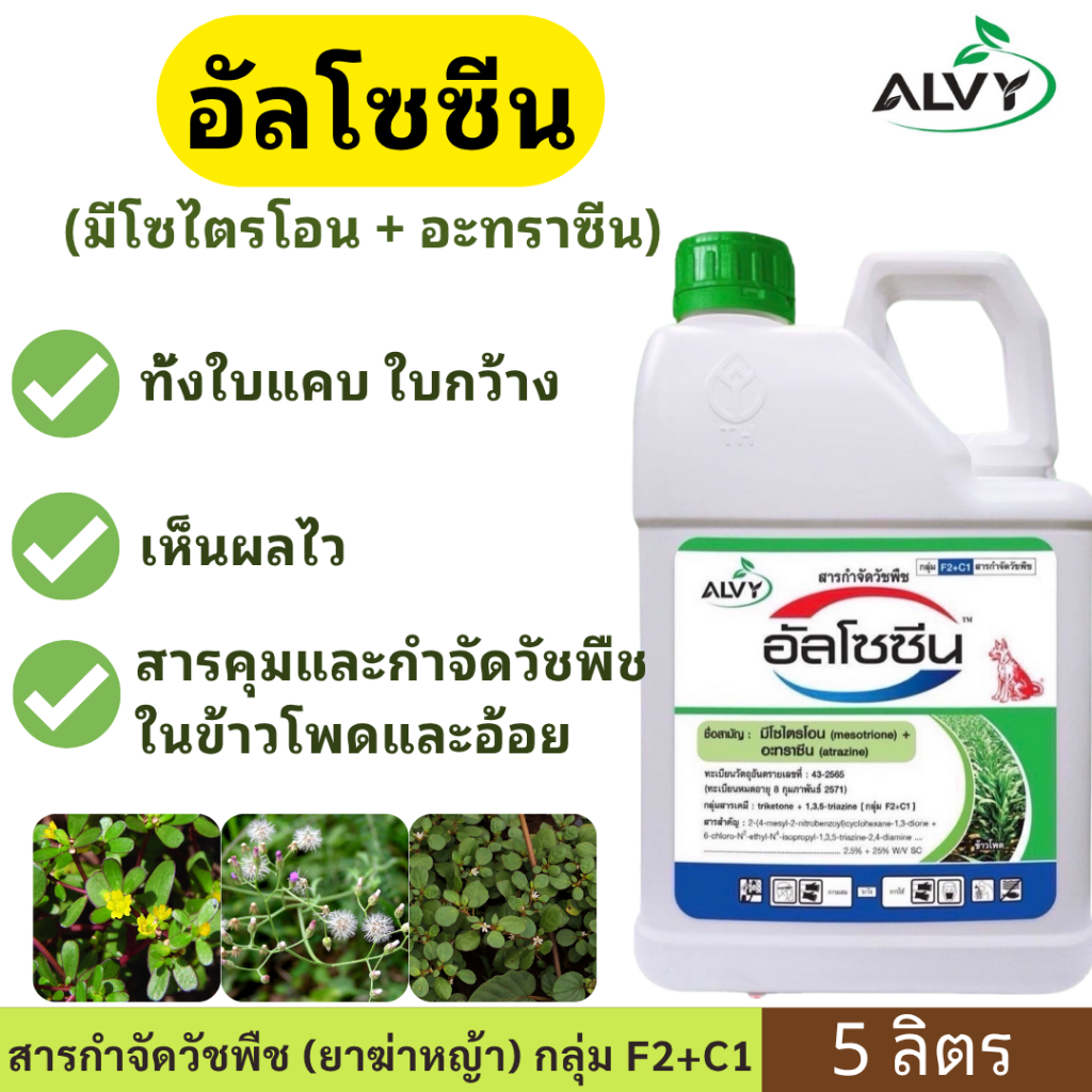 อัลโซซีน ( มีโซไตรโอน + อะทราซีน ) ตราหมาแดง ขนาด 5ลิตร สารคุมและกำจัดวัชพืชในข้าวโพดและอ้อย เห็นผลไว คุมวัชพืชได้นาน