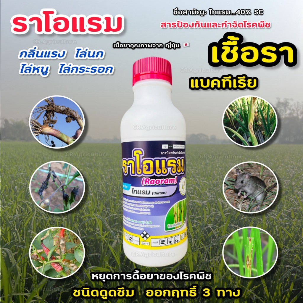 ไทแรม ราโอแรม ไทแรม 40% SC สารป้องกันและกำจัดโรคพืช กำจัดโรคพืช จาก เชื้อรา แบคทีเรีย ไล่นก ไล่หนู ขนาด 1 ลิตร