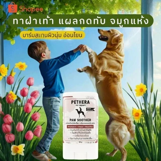 บาร์มทาอุ้งเท้า​ ซอกเล็บ แผลกดทับตามข้อ ทาจมูกสุนัขแมวชุ่มชื่น ธรรมชาติเลียได้
