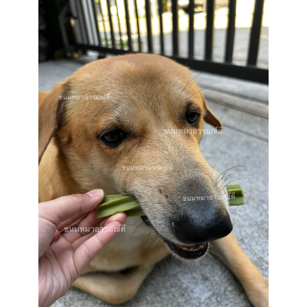 ขนมสุนัข สติ๊กขัดฟัน เดลทรัลแคร์ลดกลิ่นปาก (1 ถุงบรรจุ 12 แท่ง) - รูปที่ 3