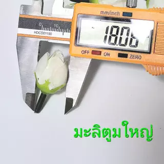 หัวดอกมะลิ ดอกไม้ปลอม มะลิผ้า 20/50/100 ชิ้น มะลิตูม