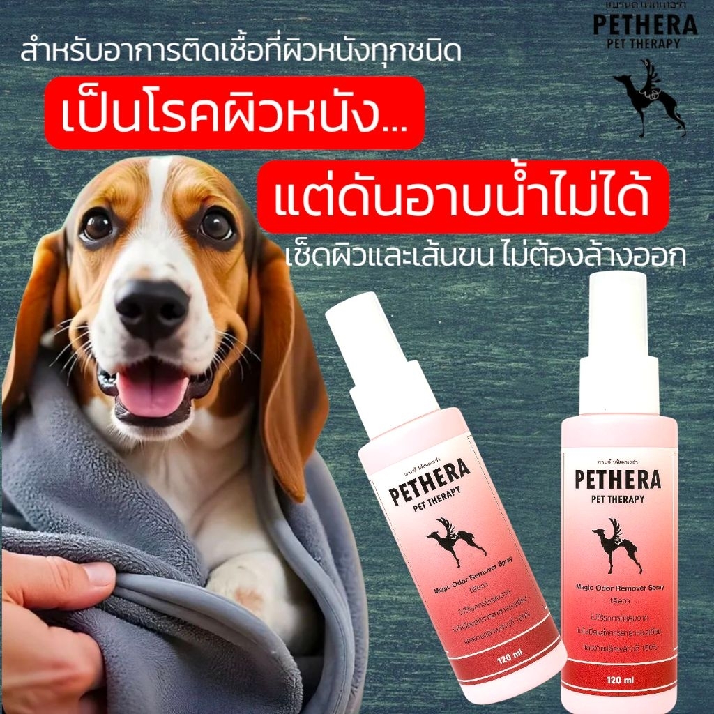 🔴สำหรับสัตว์เลี้ยงที่มีปัญหาผิว แต่ไม่มีเวลาอาบน้ำ แค่ฉีดทั้งตัวแล้วเช็ด ก็สะอาดจัดการเชื้อได้ทันที