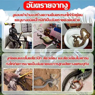 🐍50 ปีไม่มีงู ยาป้องกันงู ยาไล่งู 1 เม็ดใช้ได้ 3 ปี กํามะถันไล่งู ไม่มีสารเคมี ที่ไล่งู ปลอดภัย ใช้ง่าย ก้อนไล่งู