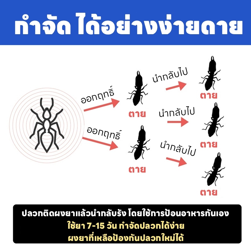 ปลวกตายเกลี้ยง! ผงกำจัดปลวก ยากำจัดปลวก ยาปลวก ยาฆ่าปลวก กำจัดปลวก ปกป้องยาวนาน - รูปที่ 4