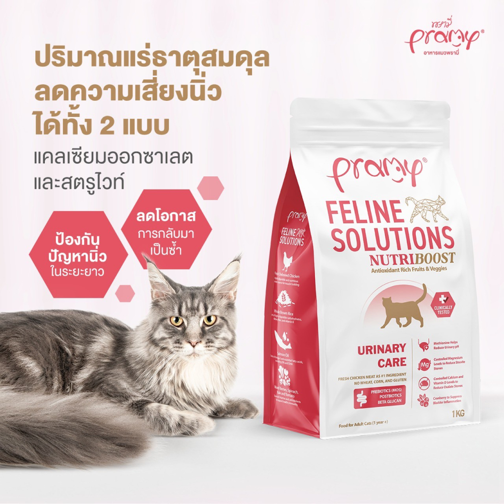 2.3 กิโลกรัม Pramy Feline Solutions อาหารแมวแมวโต บำรุงขนและผิวหนัง