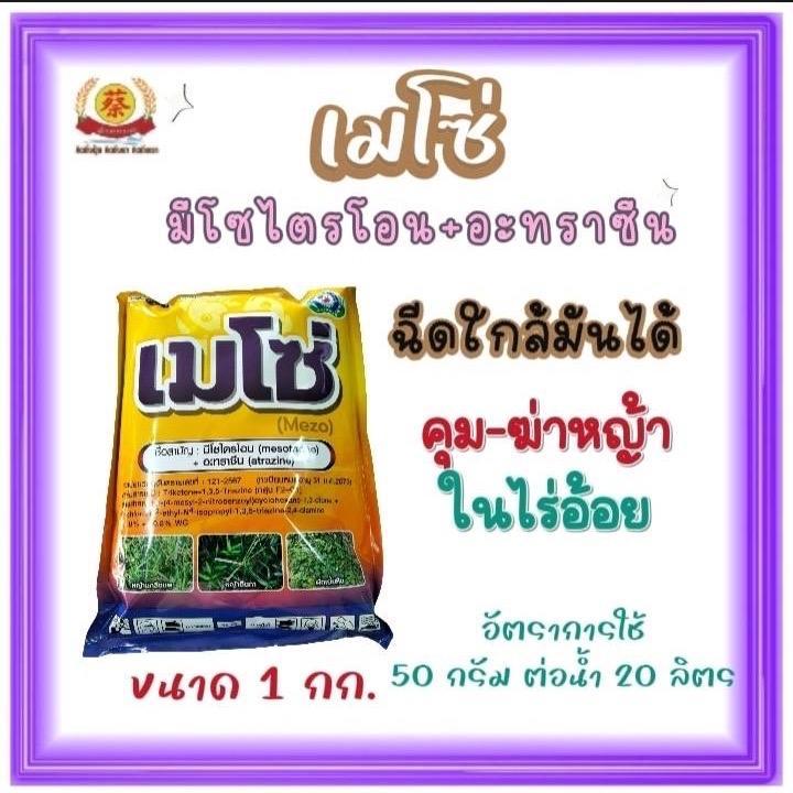 เมโซ่1กิโลกรัม(มีโซไตรโอน+อะทราซีน)ฉีดทับอ้อยไกล้มันได้