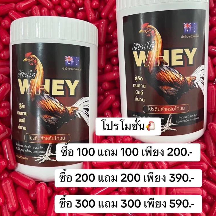 1แถม1 (แถมในกระปุก)🔥เซียนไก่เวย์🔥เวย์โปรตีนไก่ชน วิ่งอึด วิ่งทน เสริมกร้ามเนื้อ เสริมกระดูก หน้าแดง เดือย เล็บ