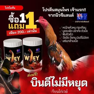1แถม1 (แถมในกระปุก)🔥เซียนไก่เวย์🔥เวย์โปรตีนไก่ชน วิ่งอึด วิ่งทน เสริมกร้ามเนื้อ เสริมกระดูก หน้าแดง เดือย เล็บ