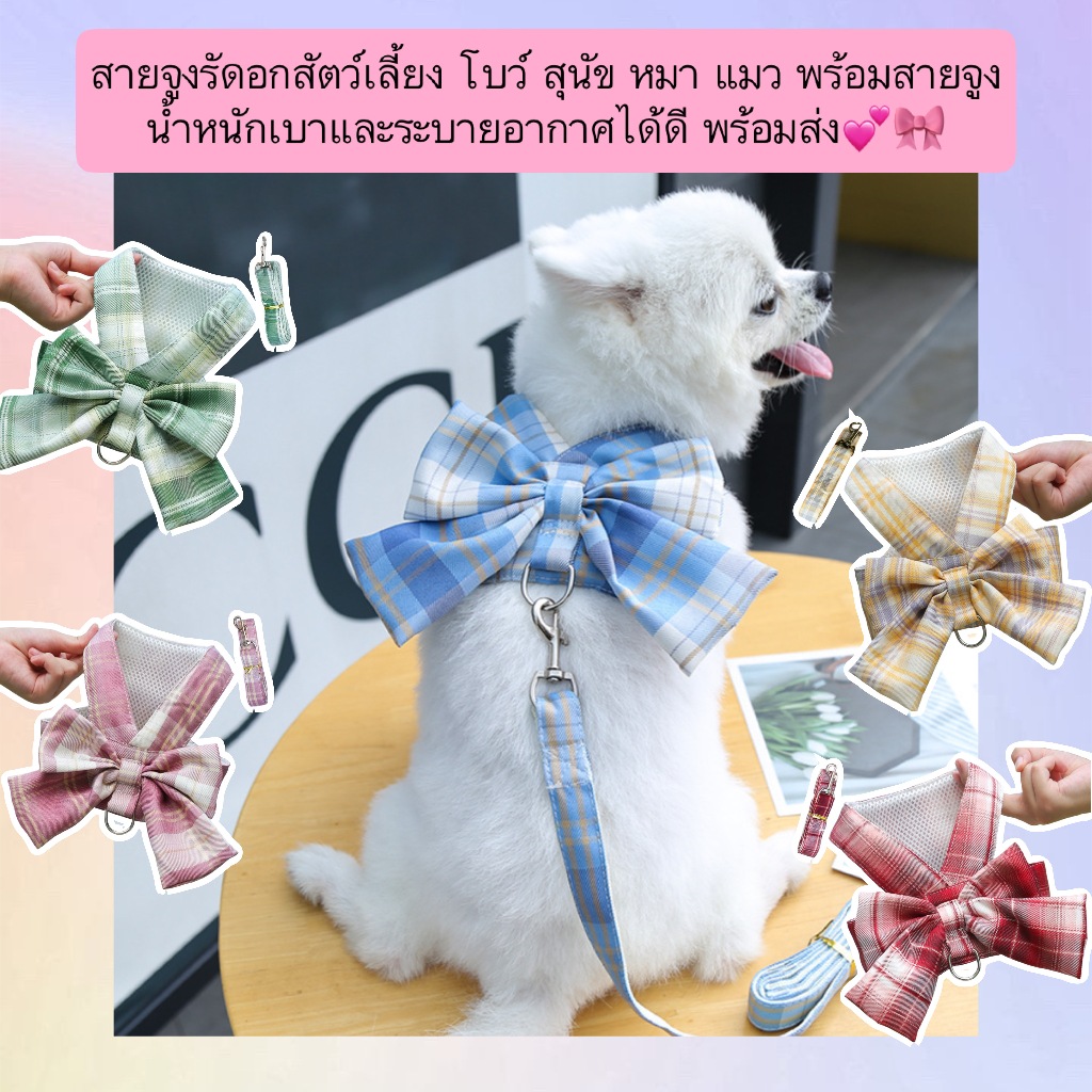 AL-511 สายจูงรัดอกสัตว์เลี้ยง โบว์ สุนัข หมา แมว พร้อมสายจูง น้ําหนักเบาและระบายอากาศได้ดี พร้อมส่ง💕🎀