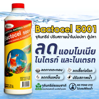 (ของแท้ 100%) Bactocel 5001 300cc จุลินทรีย์น้ำใส บ่อปลา ตู้ปลา แบลโตเซล ปรับสภาพน้ำใส บ่อขนาดใหญ่
