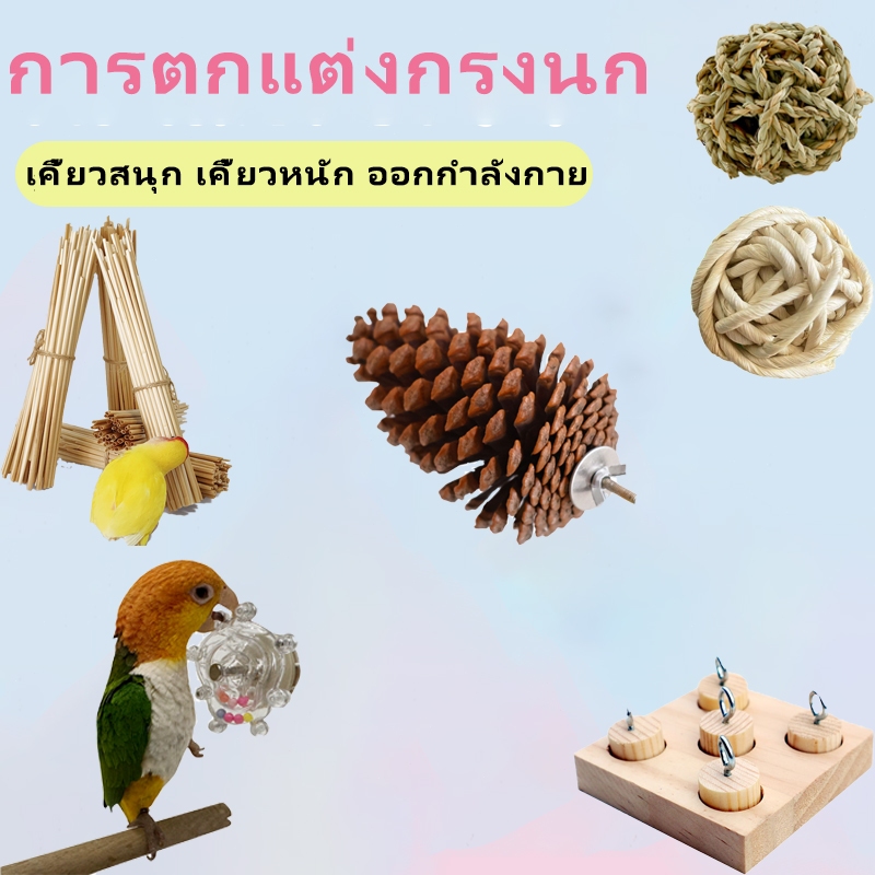 บอลนกแก้ว ของเล่นนก ให้นกกัดเล่น ของเล่นนก ของเล่นกระต่าย หนูแฮมเตอร์ แกสบี้ กระรอก