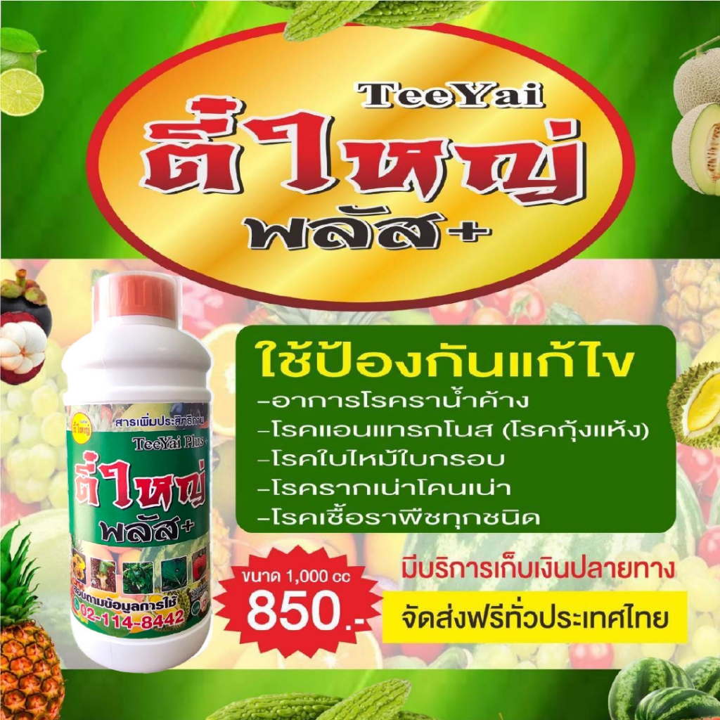 ตี๋ใหญ่พลัส แก้ไขป้อกันเชื้อราพืชทุกชนิด ขนาด 1000cc
