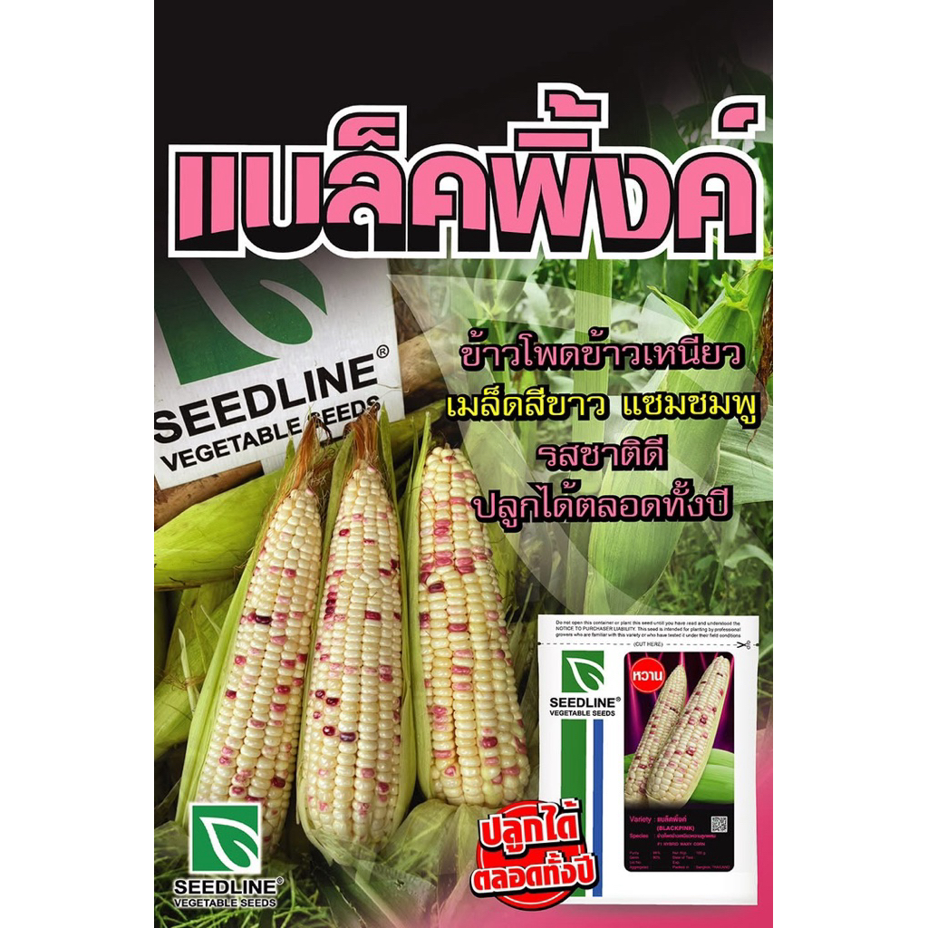 ข้าวโพดข้าวเหนียว แบล็คพิ้ง ขนาด200กรัม
