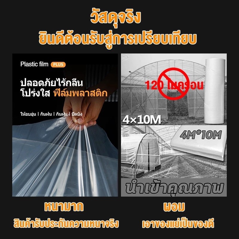 Daily Gold พลาสติกคลุมโรงเรือน กรีนเฮ้าส์ พลาสติกPE หนา รูปที่ 5