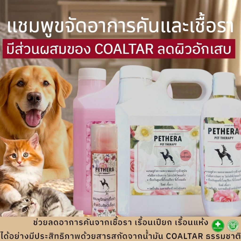 Pethera แชมพูสมุนไพรดูแลผิวหนังสุนัขแมว ลดปัญหาคัน ขนร่วง ผิวแห้ง 240ml