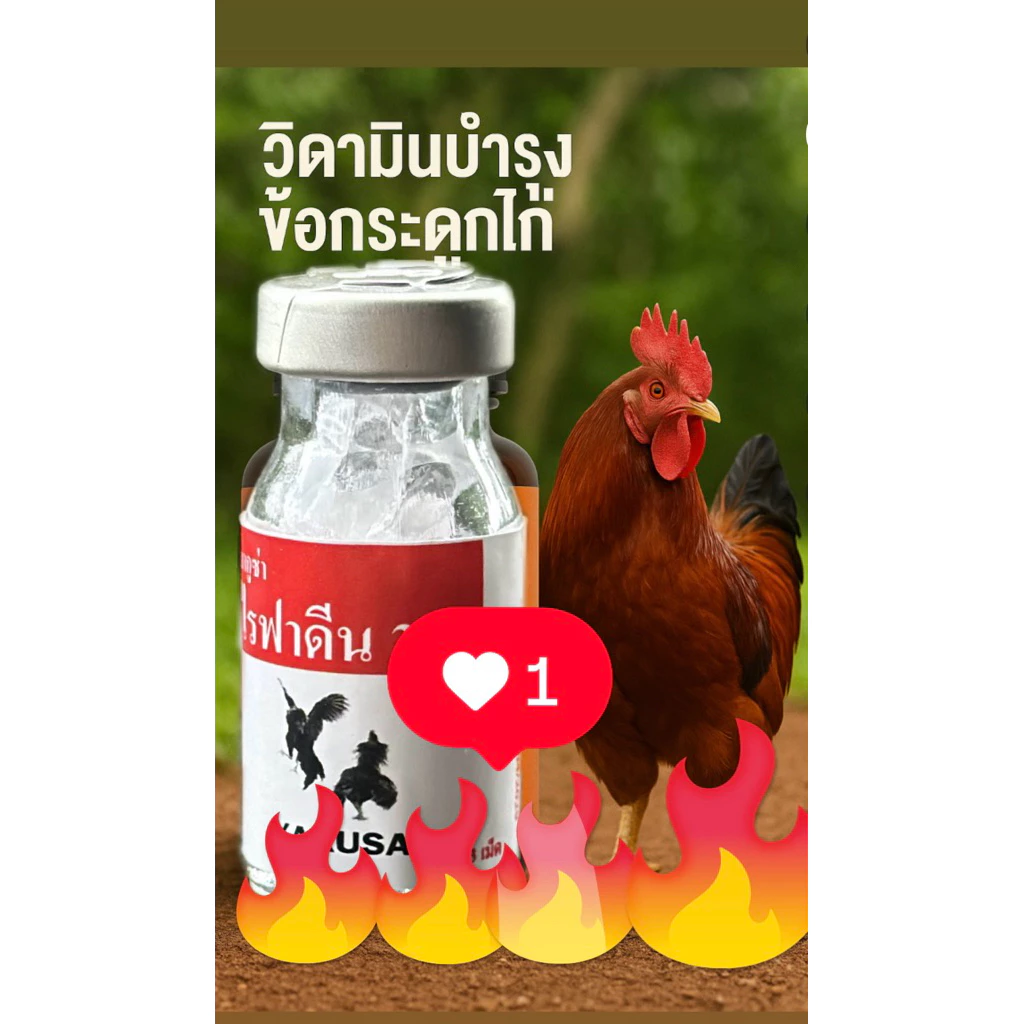 ไรฟาดีน300 อาหารเสริมบำรุ้งข้อกระดูก ไก่ นก เป็ด ห่าน