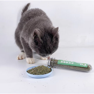 AL-022 กัญชาแมว Catnip ออร์แกนิคแบบหลอด บบผงขนาด 40 ml แคดนิปแมว แคตนิปแมว กัญชาหลอด
