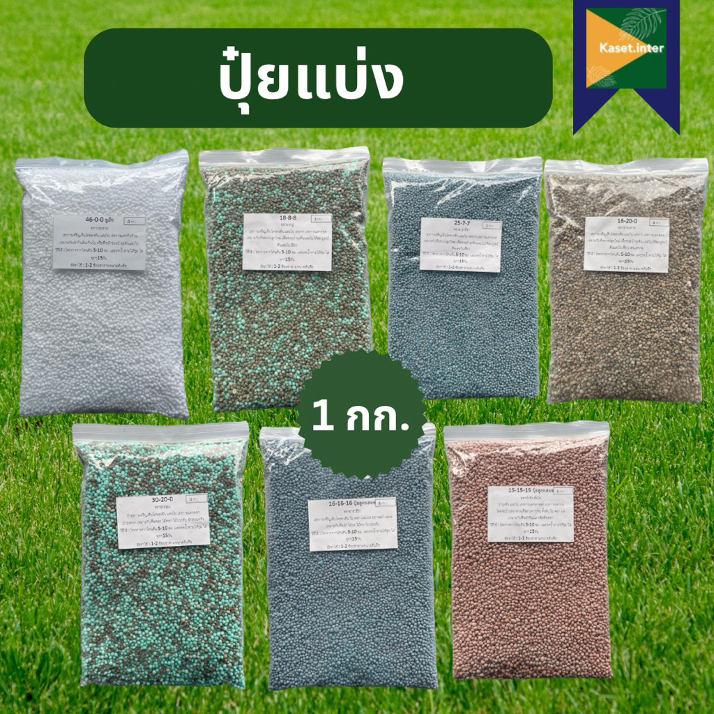 ปุ๋ยแบ่ง ขนาด 1 กิโลกรัม และ 100 กรัม ศรแดง เมล็ดผัก ปุ๋ยใส่ผัก ปุ๋ยแบ่งโล ปุ๋ยใส่พืชผัก ผักสวนครัว