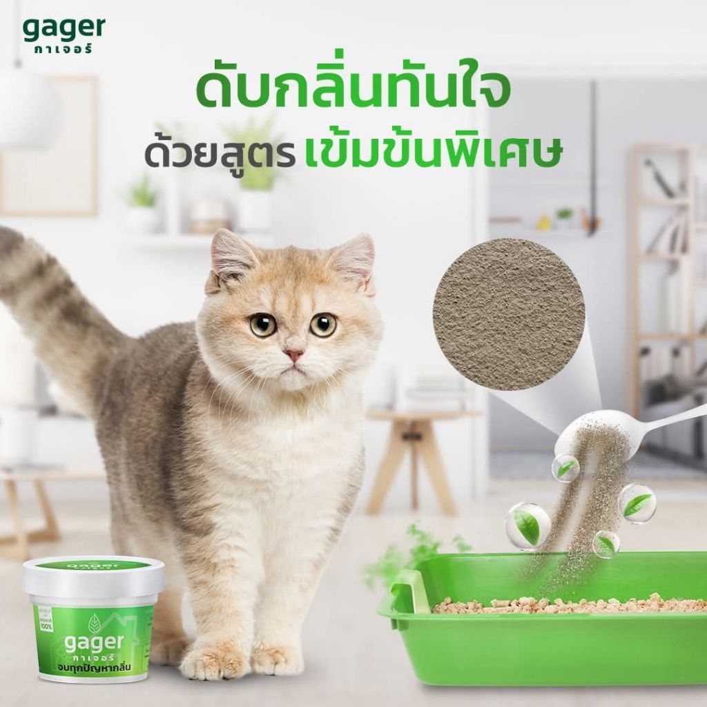 Gager ผงสลายกลิ่นกาเจอร์ 100g.