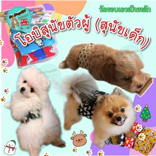 โอบิสุนัข สำหรับลูกสุนัข