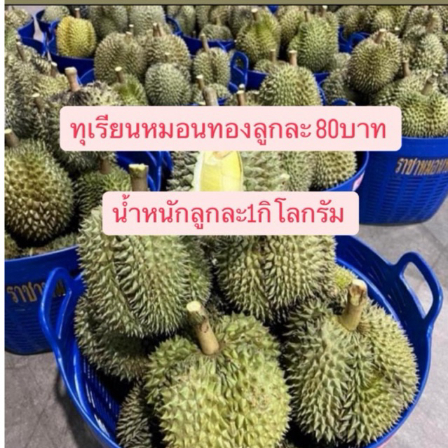 ทุเรียนหมอนทองไซร์1.1-1.3กิโลกรัม