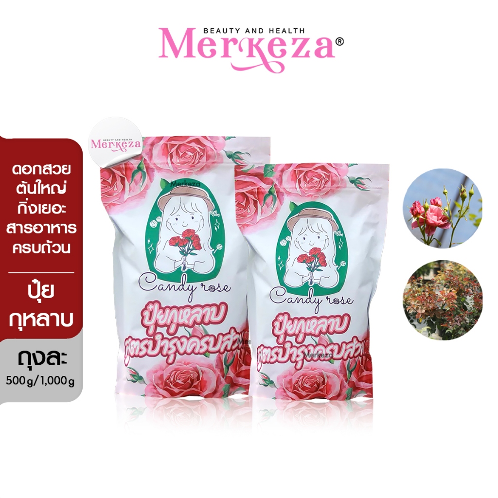 Candy Rose แคนดี้ โรส ปุ๋ยกุหลาบ ปุ๋ย ดอกไม้ ครบส่วน ราก ลำต้น กิ่ง ใบ ดอกใหญ่  สวย  แตกยอด อวบอิ่ม