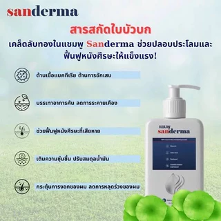 [ซื้อ 1 แถม 1] แชมพูบำรุงหนังศีรษะ SANDERMA ของแท้ ทำความสะอาดรังแคและปรับสมดุล (300 กรัม) สำหรับหนังศีรษะแพ้ง่ายและผมอ