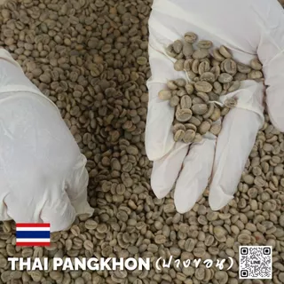 สารกาแฟไทยปางขอน จ.เชียงราย , Chiang Rai Pangkhon 100 % บรรจุ 1Kg. RK.Coffeebean [พร้อมส่ง]