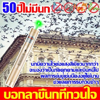 ชาร์จ1ครั้งใช้ได้365วัน เลเซอร์ไล่นกพิราบ 1วิไล่นก เลเซอร์แรงสูง แสงเขียว Laser pointer303+ถ่านชาร์จ6800mAh+เครื่องชาร์จ