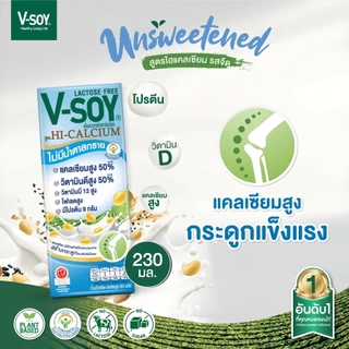 V-soy วีซอย นมถั่วเหลือง เพื่อสุขภาพ รวมทุกรสชาติ (ยกลัง 36 กล่อง)