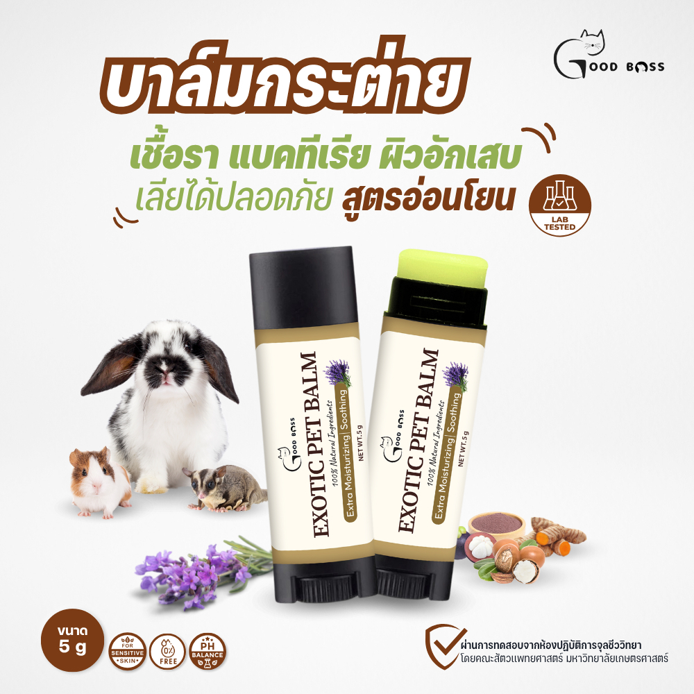 รูปภาพ 6