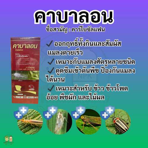 (พร้อมส่ง) สารกำจัดแมลง คาบาลอน ตรา ช้างแดง