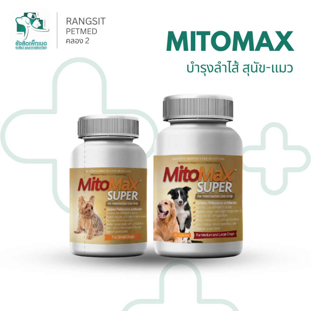 MitoMax Super อาหารเสริมสัตว์เลี้ยง ดูแลลำไส้ ท้องเสีย ถ่ายเหลว IBD โปรไบโอติก 30 แคปซูล