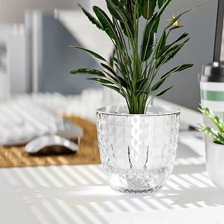 กระถาง​แบบใส กระถางต้นไม้ไฮโดรโปนิกส์ อัตโนมัติน้ํา สก์ท็อปก Mini Succulent Planter แจกันตั้งโต๊ะ ไม่ต้องรดน้ำเอง