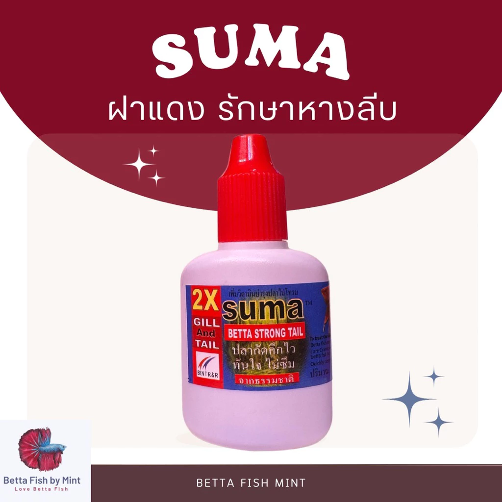 sumaฝาแดง แก้หางลีบ ปลากัดซึม ว่ายไม่เป็นธรรมชาติ